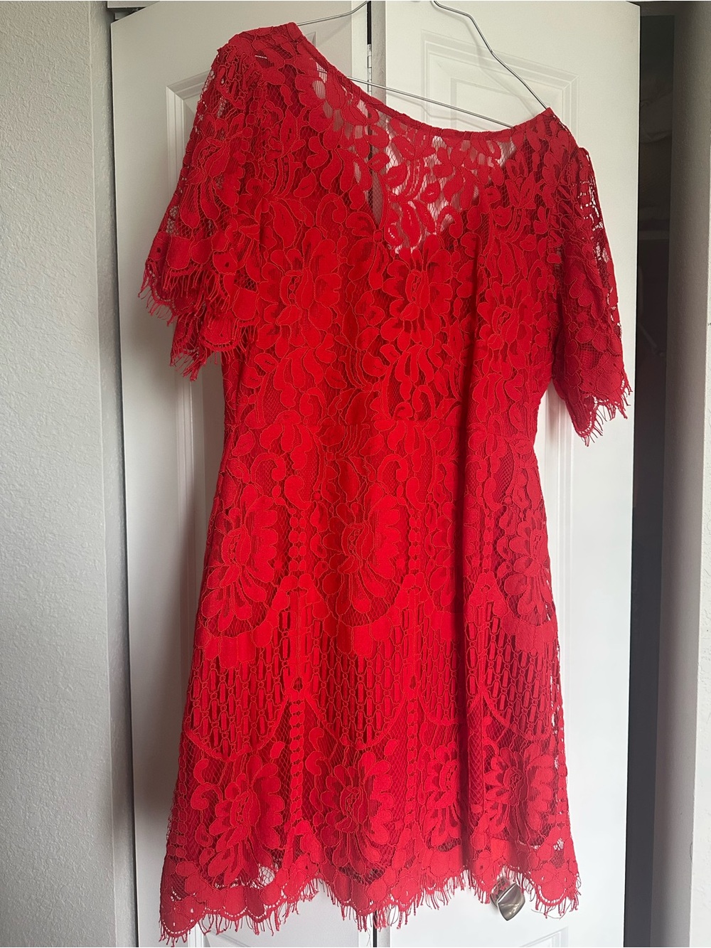 Lulu's Red Floral Lace Mini Dress